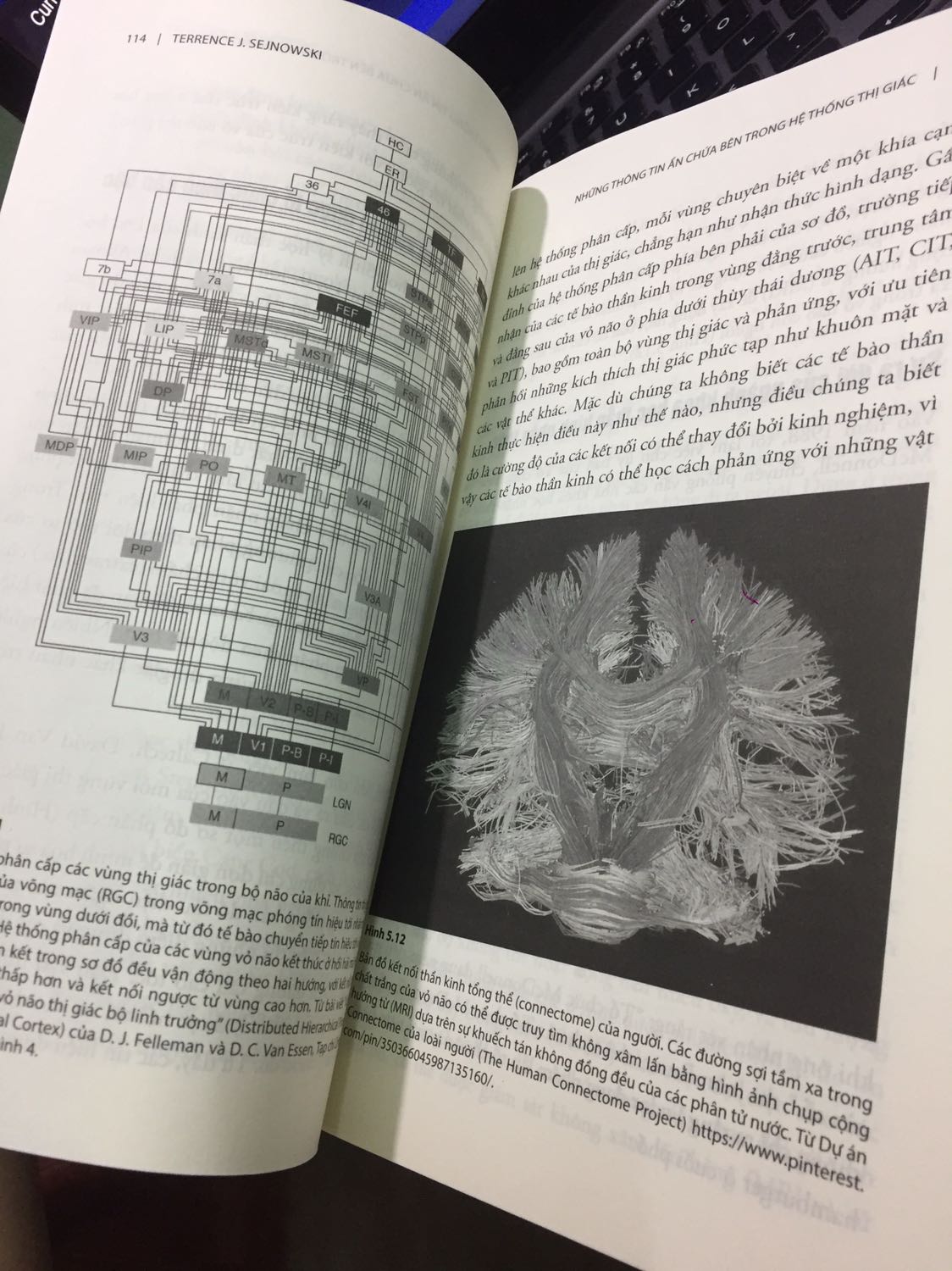 Do tình hình dịch hay sau Tết mà ship hơi lâu,  sách in đẹp, dễ nhìn.