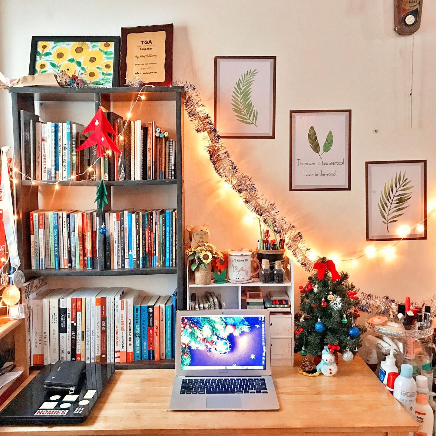 Chất lượng tốt, SP rẻ. Trang trí 1 chút, ngôi nhà tự nhiên có sức sống hơn hẳn.