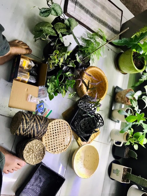 Giao nhanh, cây khoẻ