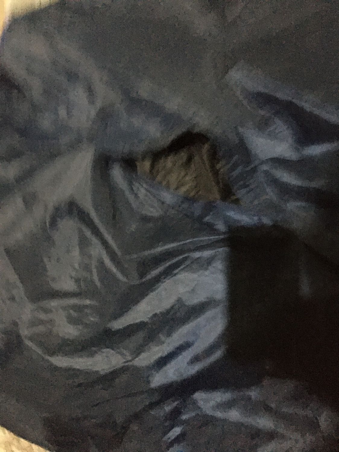 mình mua về mặc được 1 lần thì bị rách đường chỉ phía sau áo. shop bán hàng tử tế thì liên hệ đổi cho mình sản phẩm khác đi