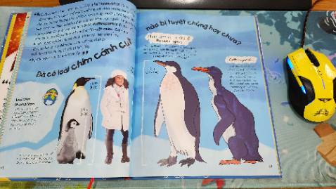 Giao hàng nhanh, bọc cẩn thận 
Giấy in đẹp, mầu đẹp, chữ sắc nét dễ đọc
Nội dung phong phú, trình bày bắt mắt, ngắn gọn
Rất nên mua cho trẻ :)