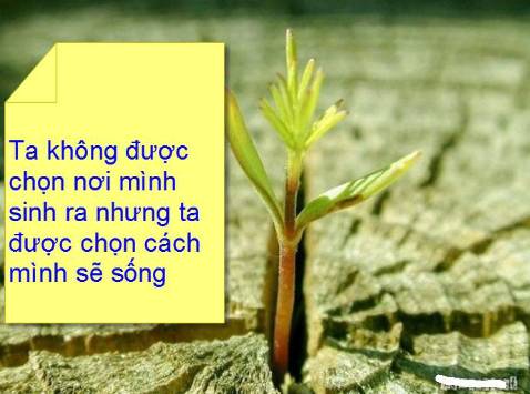 Đẹp , tiện dụng , dễ lắp , chắc chắn chịu lực tốt. Hàng chuẩn đáng tiền nên mua nha mọi người
