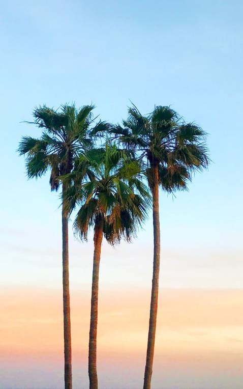 Tuyệt vời ông mặt trời luôn !