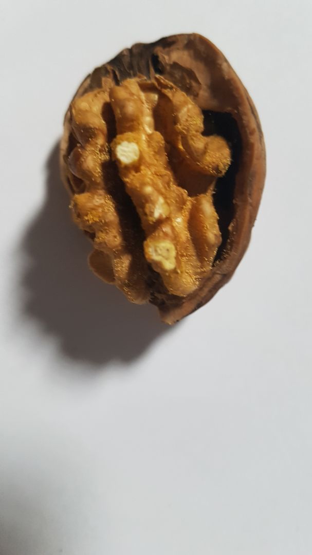 Hơn 1 nửa số quả mình mua bị mốc kín hạt, các quả k mốc thì cũng không giòn.