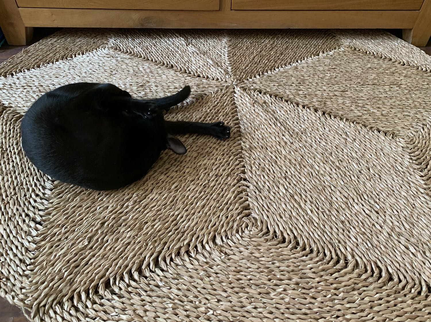 mèo nhà mình rất thích :) còn đc shop tặng thêm ống hút hihi