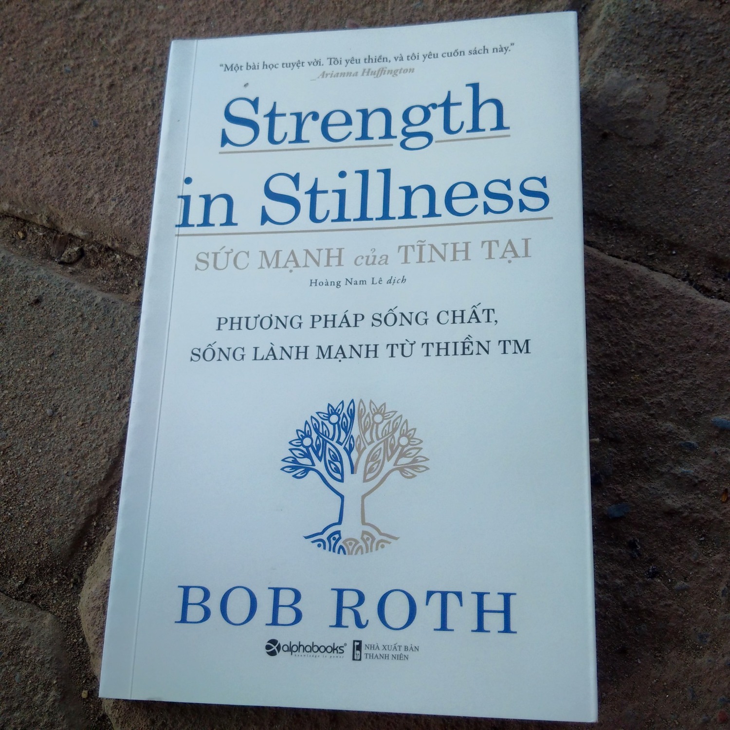 Mình chưa từng nghĩ sẽ tìm hiểu về thiền, gần đây lại thấy mọi người nhắc đến thiền như một "xu hướng" thì lại càng dị ứng. Tuy nhiên cuốn sách mang đến một cái nhìn vô cùng rõ ràng và khoa học về thiền, không hề có ngôn từ khó hiểu hay giải thích mang tính suy đoán. Thiền gần đây như một cụm từ "trendy", nên với mình để tìm cách tiếp nhận xác thực là vô cùng quan trọng. Nhờ cuốn sách mà đi đến quyết định học Thiền TM!