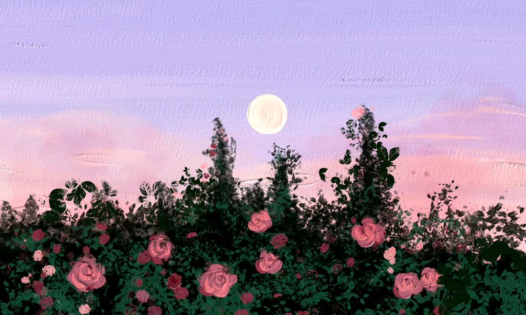 đóng gói cẩn thận, giao hàng nhanh, màu xinh xắn.
cảm ơn shop nek đóng gói cẩn thận, giao hàng nhanh, màu xinh xắn.
cảm ơn shop nek