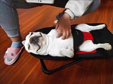 Mua cho 2 boss, khung chắc vải mềm, nhìn mặt 2boss là thấy uy tín r