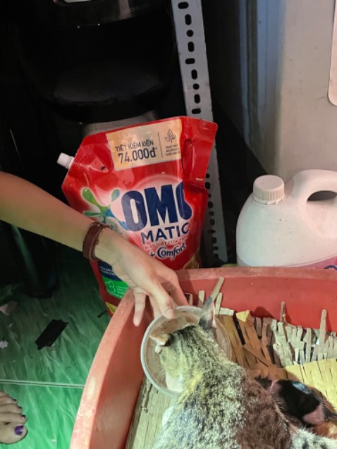 Mùi thơm dẽ chịu, giặt sạch vết bẩn, không gây kích ứng da, omo thì là hàng tốt trước giờ rồi