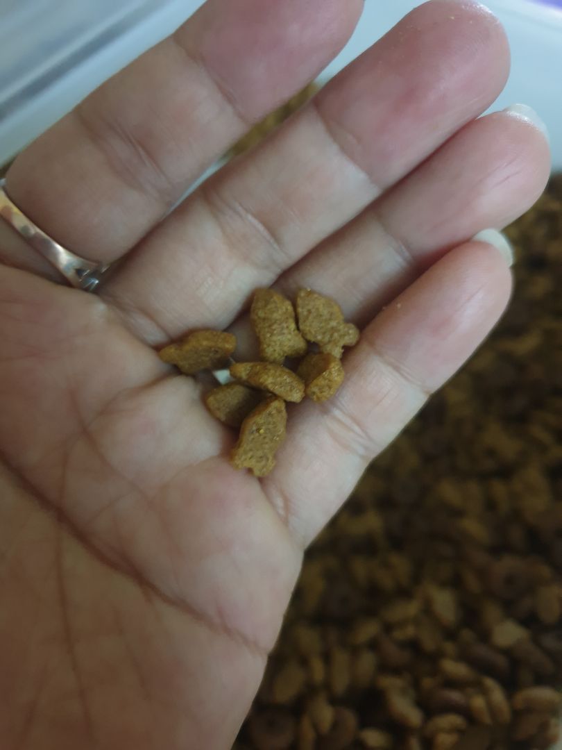 sản phẩm giao đúng đơn hàng, mèo nhà mình thích loại này.