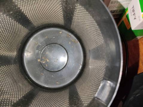 Đèn chắc chắn, hoạt động khá tốt. Hôm nào ít thì bắt đc như trong hình, hnao nhiều muỗi thì bắt gấp đôi, mình cắm đèn ngoài hiên nhà vào buổi tối