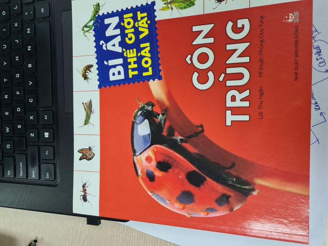 Bộ 4 cuốn hay, đẹp, hình rất rõ, tóm tắt đặc điểm mỗi loài. Mình mua cho bé mà mình còn thích nữa.