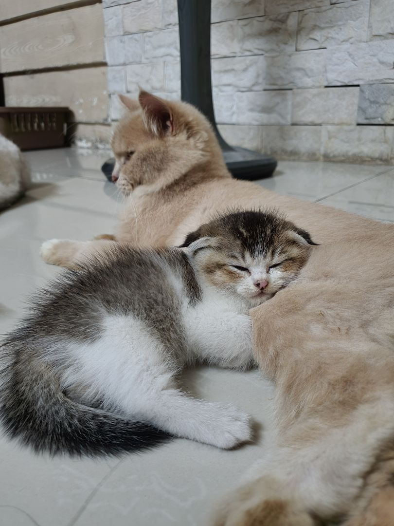 shop bán giá khá rẻ so với thị trường chất lượng sản phẩm rất tốt!hsd 2023 nói chung rất ưng ý sẽ tiếp tục ủng hộ shop khi có nhu cầu!!!