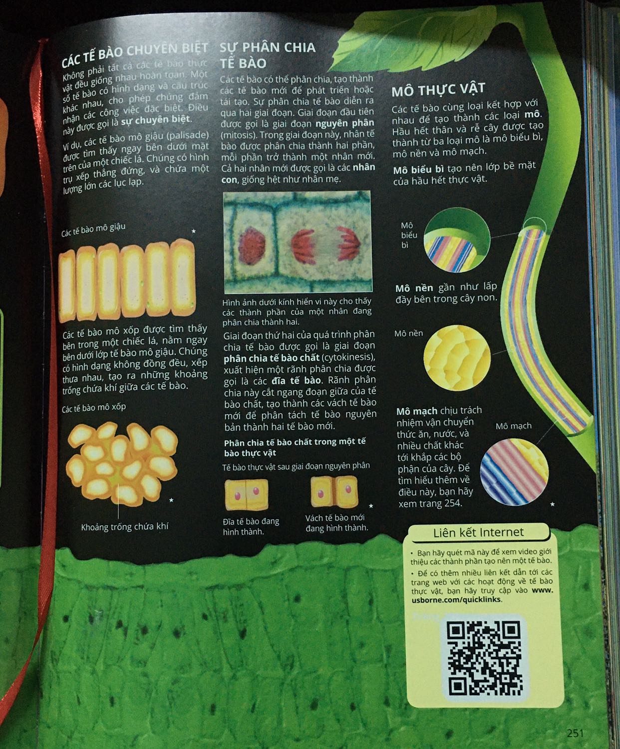 Sách cung cấp thông tin cơ bản rất tốt. Đặc biệt hình ảnh rất đẹp dễ hình dung và có kèm theo link hoặc mã QR để xem video ở mỗi bài, giúp người đọc hiểu rõ hơn. Nhưng một số ít video  k xem đc vì quyền truy cập. Nếu có thể xem hết đc thì rất hay.