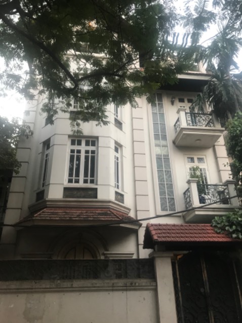 Hút tốt, dùng bền, mềm mại