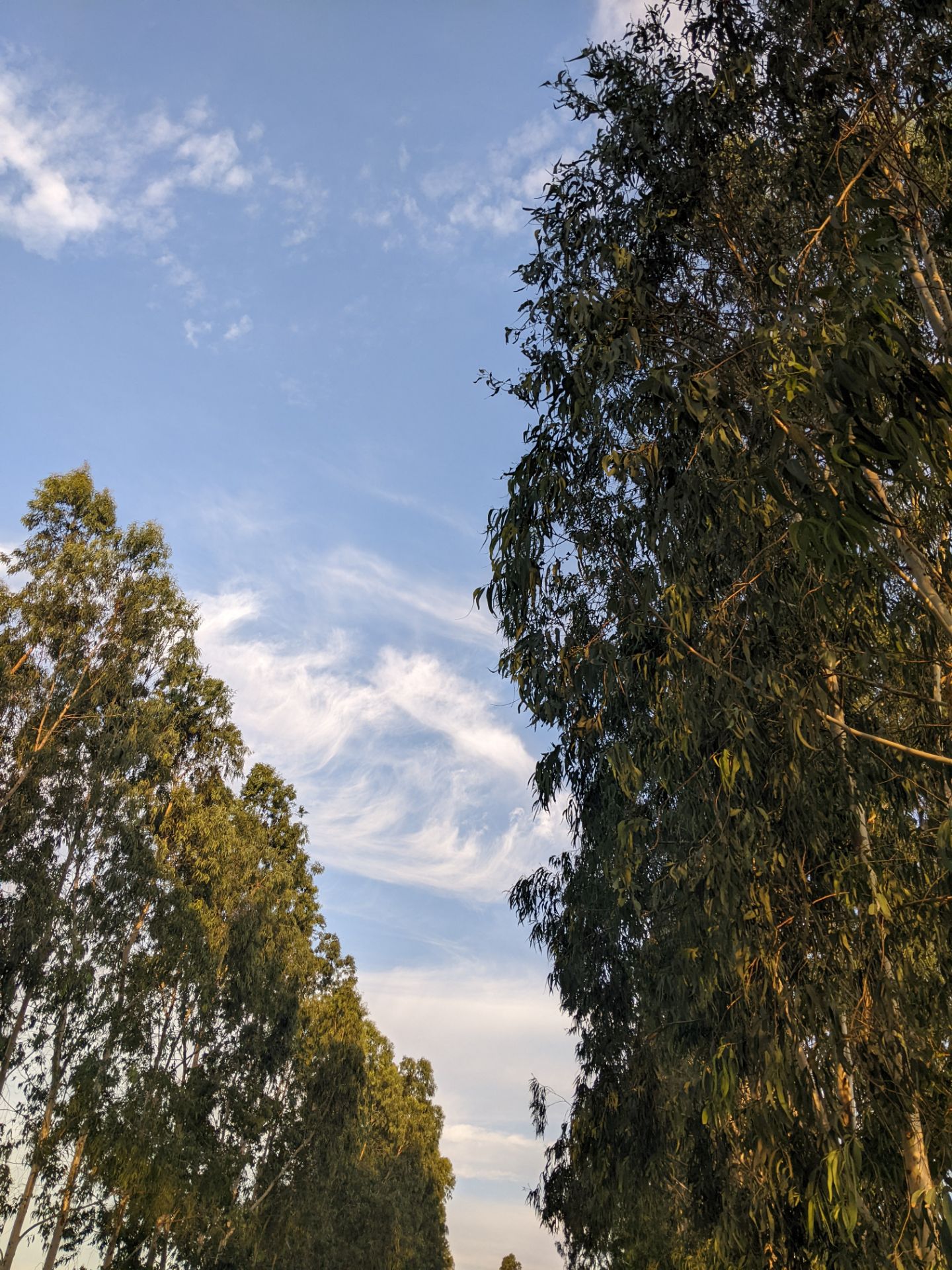 đúng mẫu mã, chính hãng, giao hàng nhanh, đủ quà tặng kèm