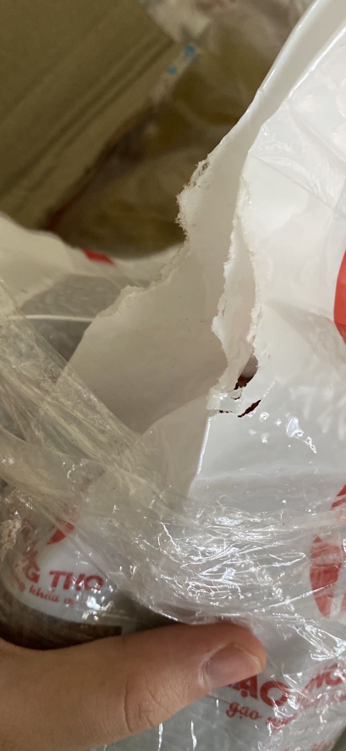 Gạo bị chuột cắn hết đặt , giao lộn loại