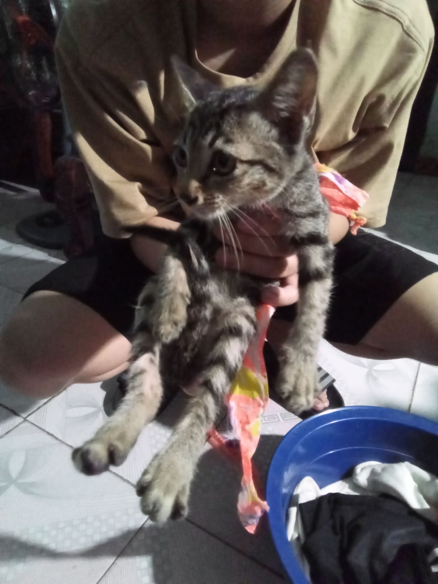 ship nhanh rất ôke