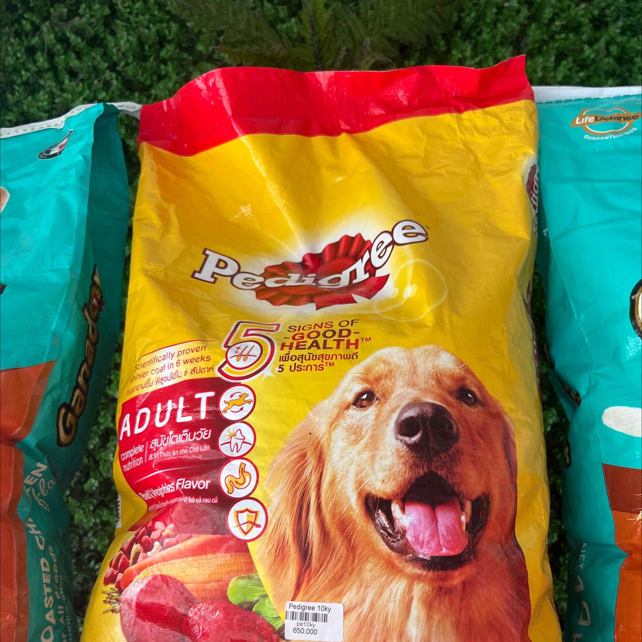 Chất lượng tốt , đóng gói kỹ cưỡng Chất lượng tốt , đóng gói kỹ cưỡng