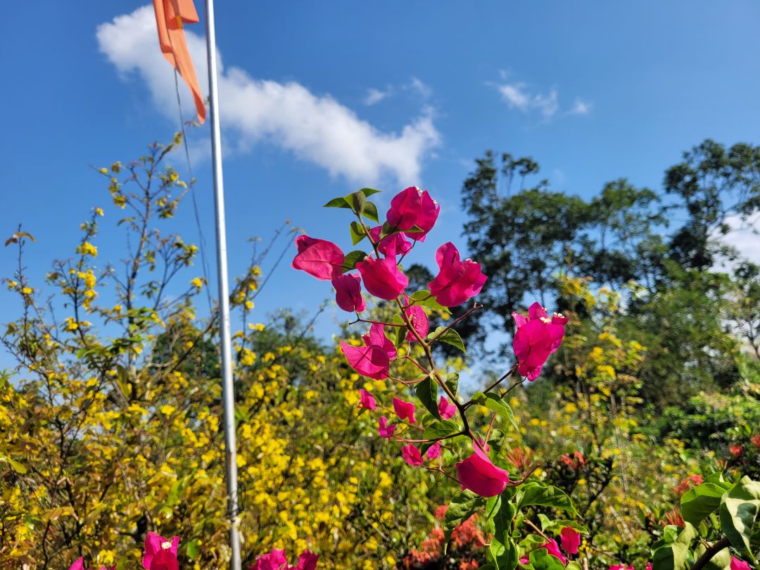 Dùng tốt thu sóng ổn định