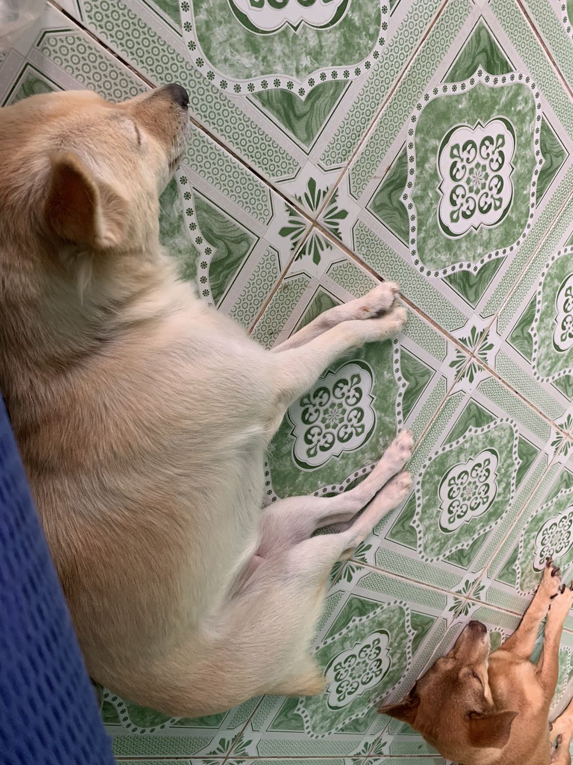 Giao hàng cực kì nhanh , Tiki phục vụ rất tốt . Mình rất hài lòng Tiki