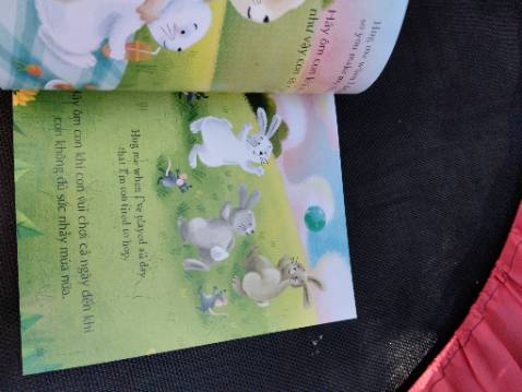 Sách rất đẹp, giống y như mấy quyển ehon Châu Âu phiên bản nhỏ, giá rẻ hơn rất nhiều