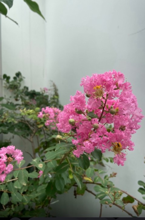 Hàng Nhật, dùng rất tốt và tiện dụng 
Shop đóng gói chắc chắn, Tiki giao hàng có chút trục trặc tuy nhiên có nt cho KH. Đánh giá 5* sẽ mua lại Ok