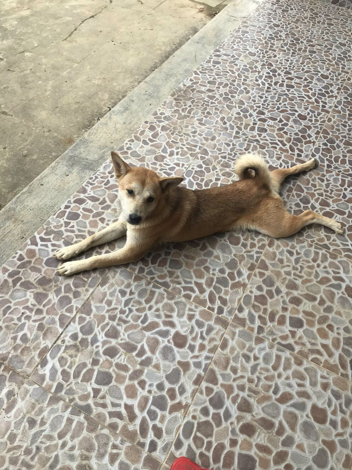 Tuyệt vời sách khổ to và chất lượng rất tốt nhìn rất đẹp