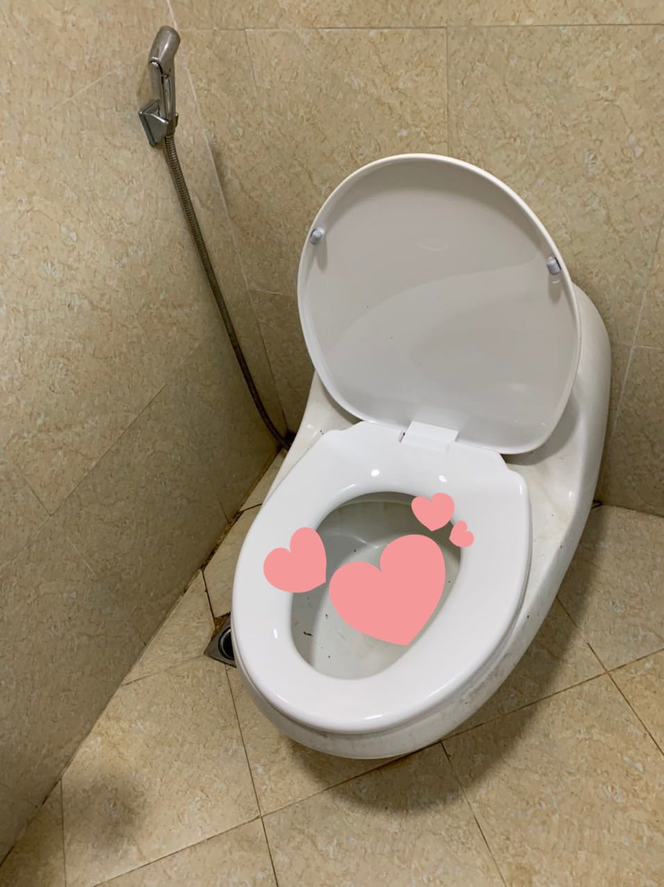 Mình đo kích thước bồn gửi, shop tư vấn nhiệt tình, giúp mình chọn mẫu nắp bồn HA09 và cuối cùng đã vừa. Thợ lắp nói ốc thì ko khớp phải thay ốc, nhưng nói chung nắp bồn vẫn là vừa không phải đổi trả lại. Mình thấy rất yên tâm. Bồn có nhiều size, nhiều mẫu nên ai định mua nắp bồn thay thì lưu ý đo cẩn thận các kích thước để chọn nhé.