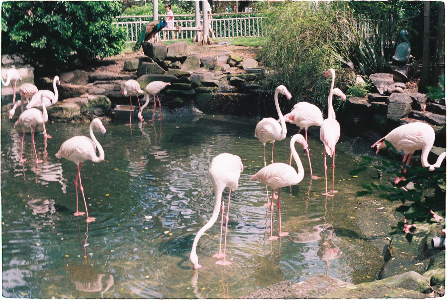 Giao hàng chính hãng, chưa dùng chưa rõ kết quả