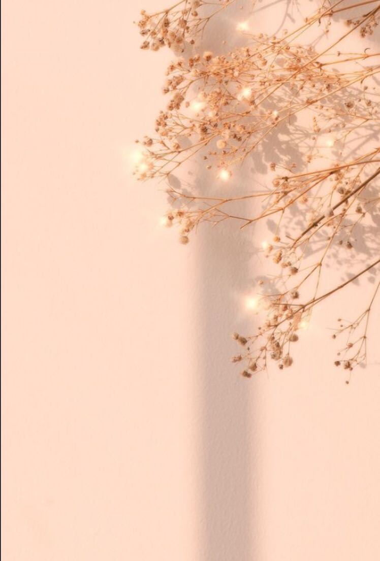 sách đẹp , bản mới - nội dung thì tuyệt vời
giao nhanh