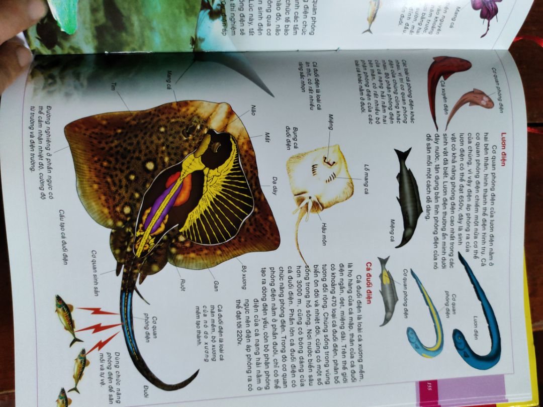 Sách quá đẹp, nhiều chủ đề thú vị