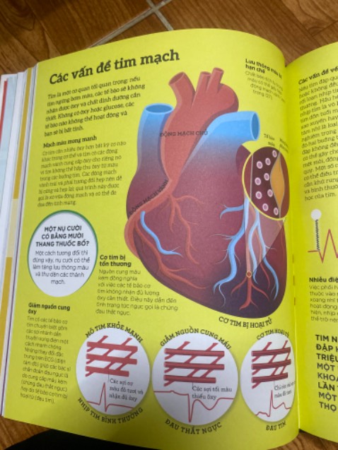 Mình có cuốn giải phẫu học atlas rồi nhưng cuốn này vẫn cần trong bộ sưu tập,vì từ vựng cơ thể học vừa đủ nên sẽ hiểu nhanh hơn cuốn chuyên môn kia