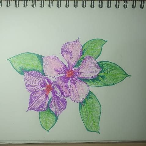 Sản phẩm đúng mô tả. Chủ yếu dùng để vẽ.