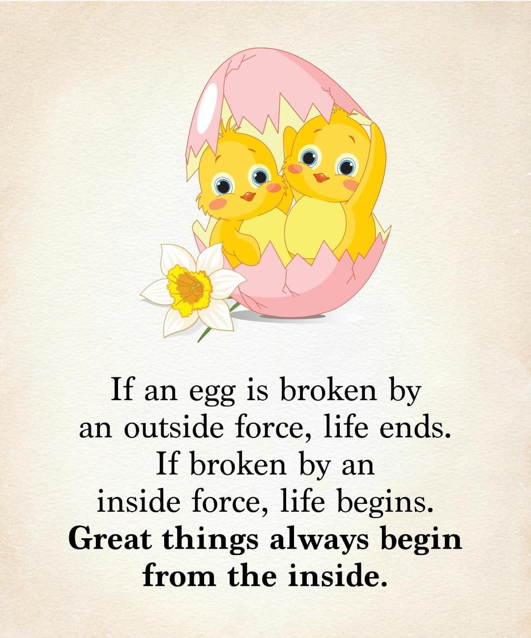 đúng mẫu mã, xịn sò nha
giá rẻ