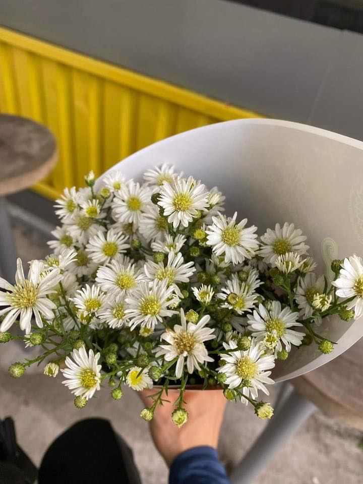 giao hàng rất nhanh. Máy dễ sử dụng may rất êm. Có nhiều sự lựa chọn đường may. Nhỏ gọn