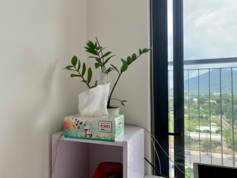 Giấy tốt. Đóng gói cẩn thận.
(Đăng nhầm ảnh nhưng không biết cách xoá 😔)