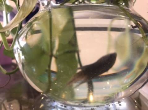 Ok hàng giống hình quảng cáo , giao đúng, giao đủ thank shop ._hfyruut>gudyysydjvhdsttydye7yudteeigudstritysuffdyfufifu6dtdrudyfj