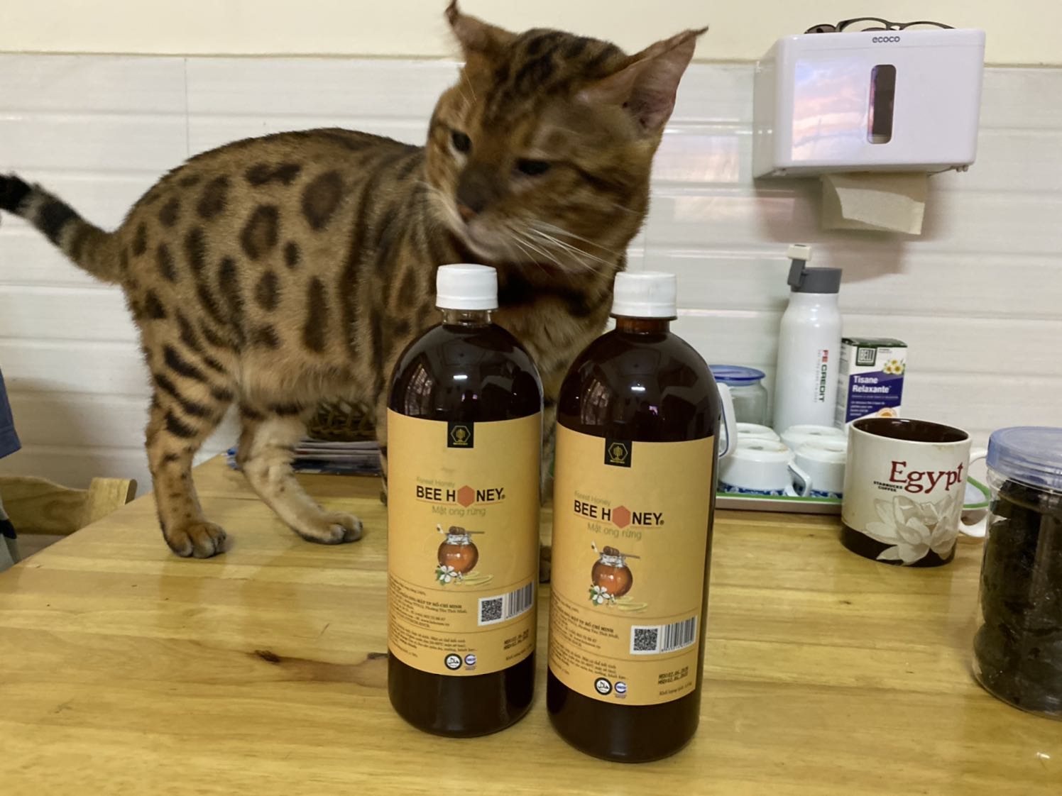 Mật ong Bee ? Honey chất lượng tốt, giá rẻ, đã mua nhiều lần.