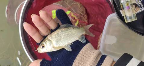 cho shop 5saoHàng khá chắc chắn đặt 2 lần r thank shop