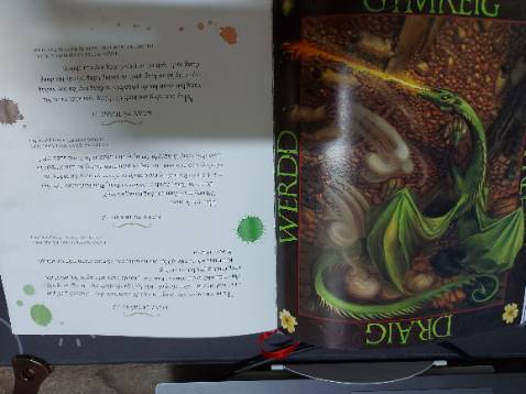 Mê art của Jim Kay quá nên phải mua thoi😘😘