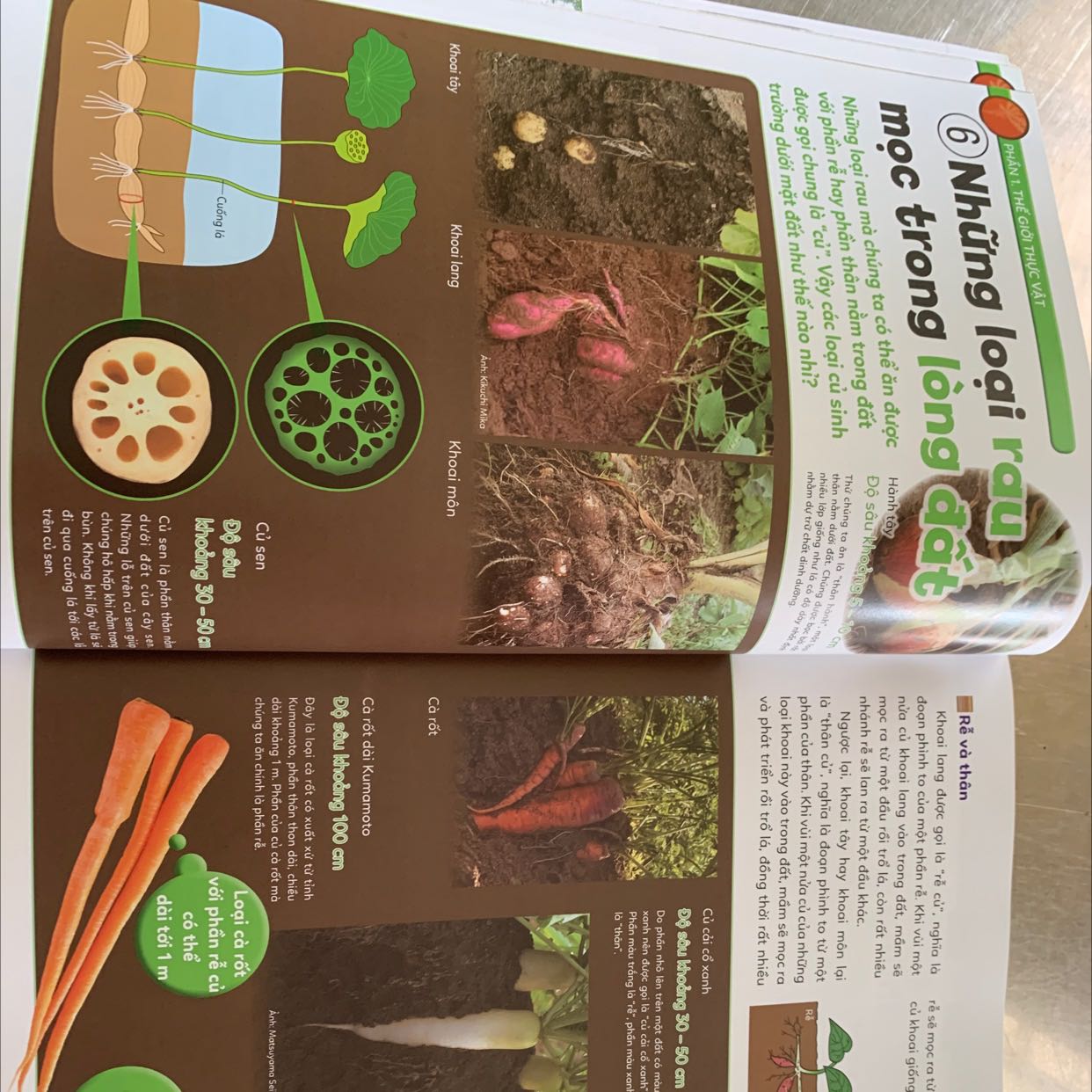 Mua đúng đợt sale nên giá rất ok, sách hay miễn chê, những vấn đề khoa học dc trình bày đơn giản dễ hiểu, hình ảnh minh hoạ rất đẹp và dễ hiểu.