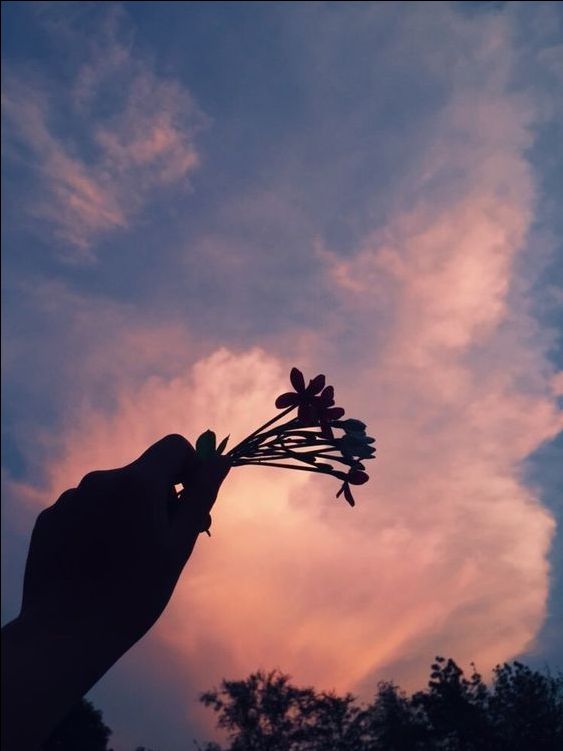 màu tô mạnh sẽ bị gãy vụn, hình ảnh chỉ mang tính chất minh hoạ nhưng màu tô vẫn rất đẹp.