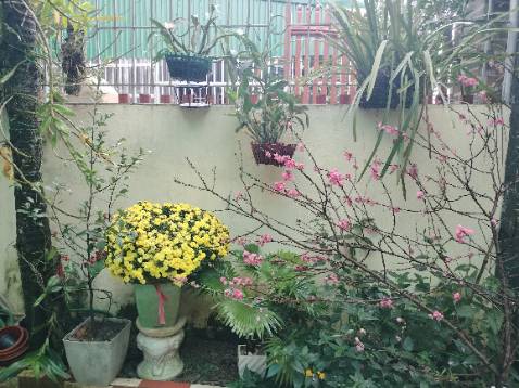 Uống dễ, mùi thơm đóng gói cẩn thận, bé njà mình thích ăn