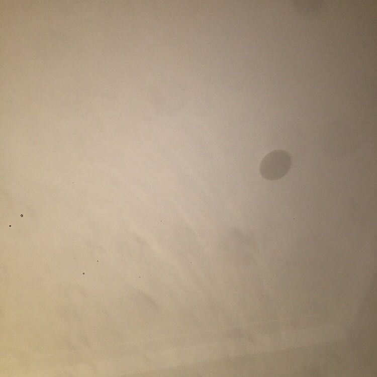 Cấy no bền không hè mua về vứt đó lâu chưa dùng mầm chi cả