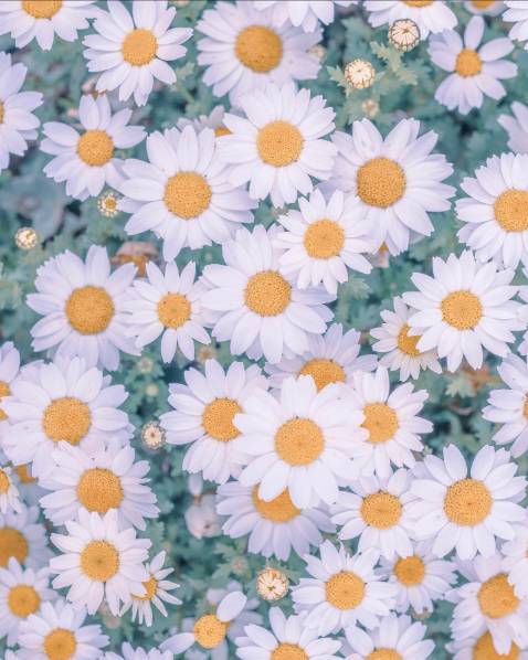 Đẹp nha giữ nhiệt tầm 3 đến 4 tiếng