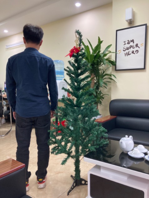 Cây ghi cao 1m6 mà có đúng đâu.