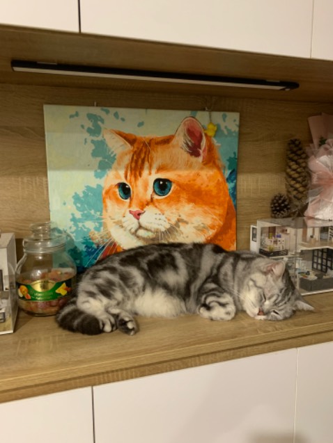 Giao hơi chậm so với dự kiến