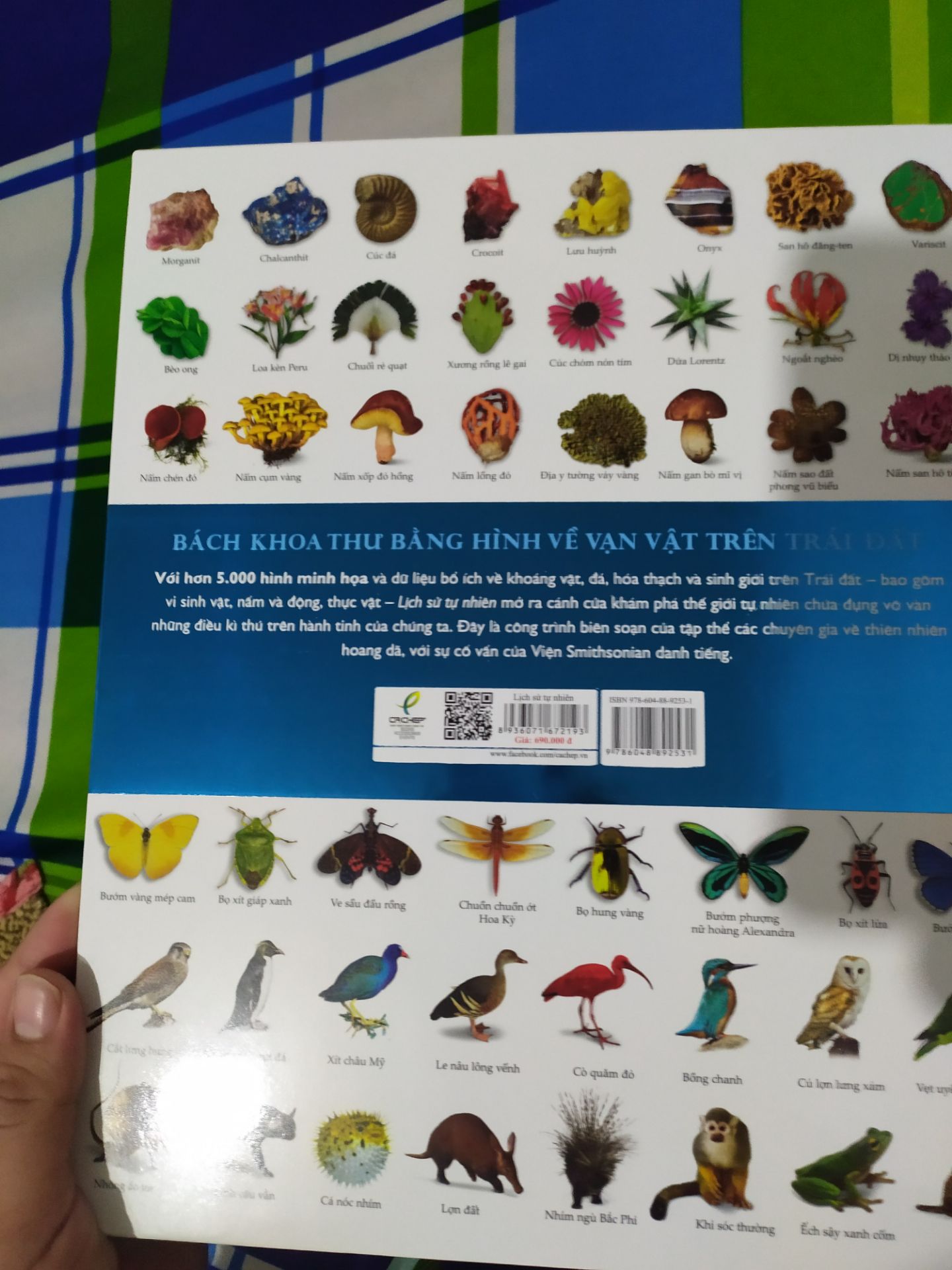 MỘT QUYỂN ATLAS GIÁ TRỊ VỀ THẾ GIỚI TỰ NHIÊN:
+ Hình thức, trình bày: Quyển lịch sử tự nhiên này nằm trong bộ 4 quyển lịch sử đồ sộ dựa trên 4 lĩnh vực lớn (bên cạnh lịch sử khoa học, lịch sử quân sự và lịch sử thế giới) do Đông A ấn hành dựa trên bản quyền tiếng anh của DK. Không cần bàn cãi về hình thức trình bày sách của Đông A- vô cùng logic. Sách được in màu toàn bộ trên giấy bóng dày, bìa cứng thiết kế bắt mắt, sang trọng. Hình minh hoạ đẹp, sắc nét, in không bị lem màu. Phông chữa to vừa dễ đọc. Khổ sách khá lớn và dày nên có thể xem như một quyển atlas tự nhiên.
+ Nội dung: Trình bày, giới thiệu nhóm vật chất và sinh vật sơ khởi của trái đất (khái quát về sự sống trên trái đất, các loại khoáng vật, vi sinh vật), để làm nền tảng đi vào 3 nhóm sinh vật lớn ngự trị trên hành tinh (nấm, thực vật, động vật). Trong mỗi chương, soạn giả miêu tả hết sức chi tiết về đối tượng với hình ảnh minh họa đặc thù của loài khiến độc giả thích thú theo dõi cũng như dễ tiếp thu, nhớ lâu, ấn tượng lâu dài, không hề nhàm chán như những sách khoa học chỉ có chữ và chữ.
+ Kết luận: dựa vào những tiêu chí nổi bật trên, quyển thế giới tự nhiên xứng đáng nằm trong tủ sách khoa học của mọi nhà. Sách phù hợp với mọi lứa tuổi: học sinh, sinh viên có thể tham khảo làm tài liệu học tập, người đi làm đọc để dung nạp thêm kiến thức cũng như thư giãn sau giờ làm việc.