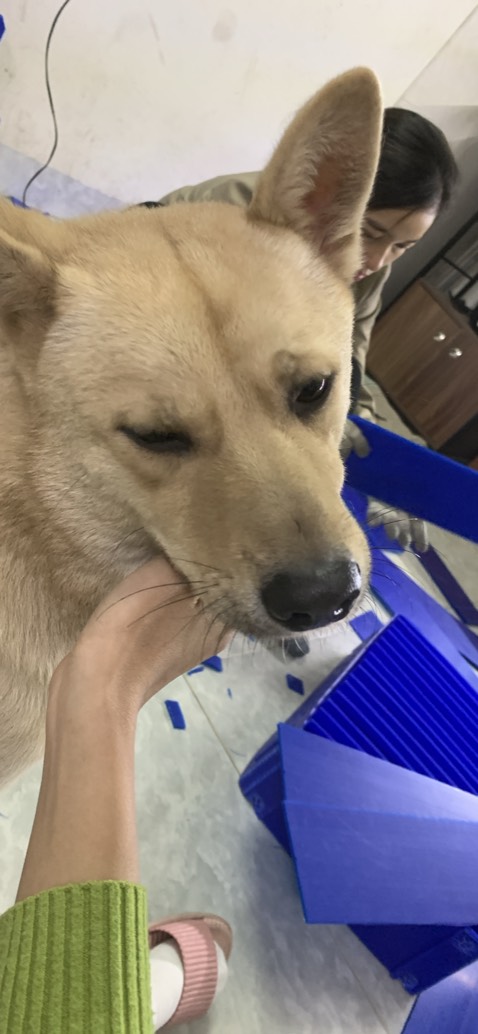 Hàng đẹp giống hình ảnh shop đăng lên
Giao hàng nhanh chóng
Mình sẽ ủng hộ trong thời gian tới
Cảm ơn shop nhé